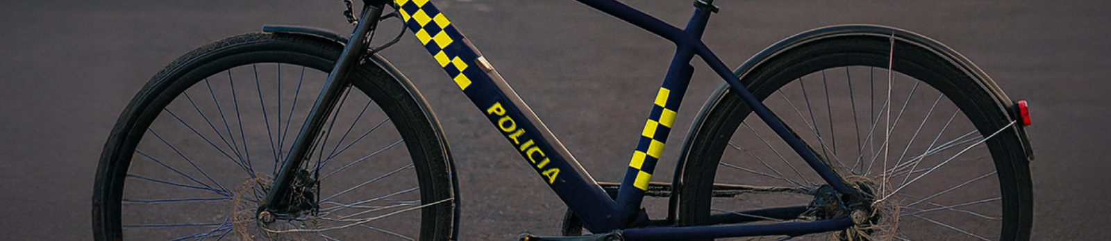 Policia-proyectos-Spinciti